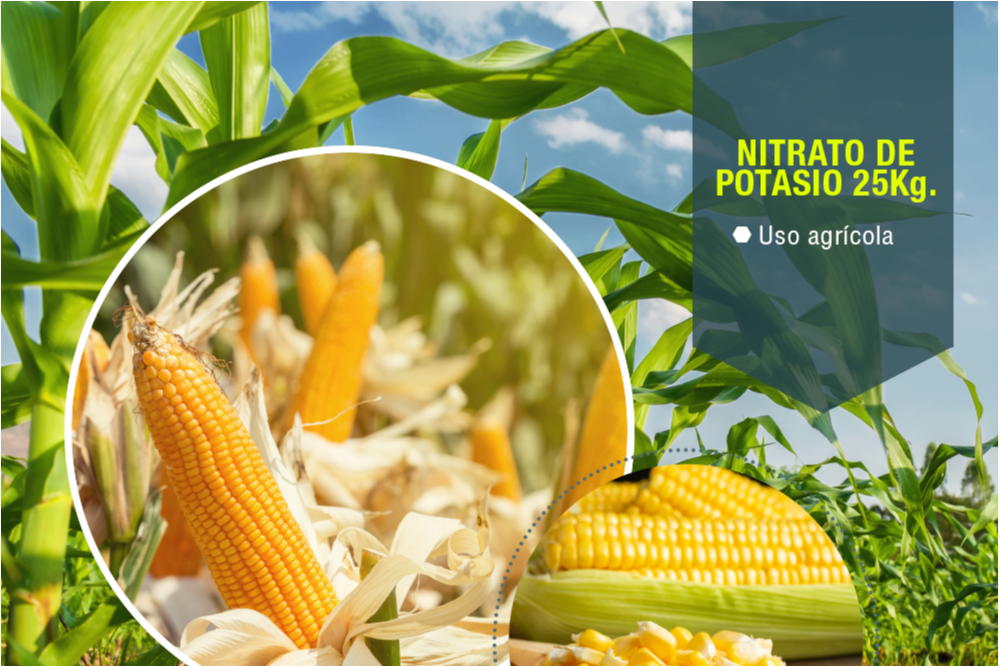 El nitrato de potasio, un potente fertilizante para las plantas